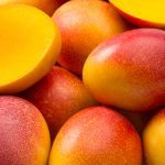 La Mangue - Rosello & Fils