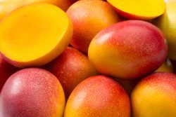 La Mangue - Rosello & Fils